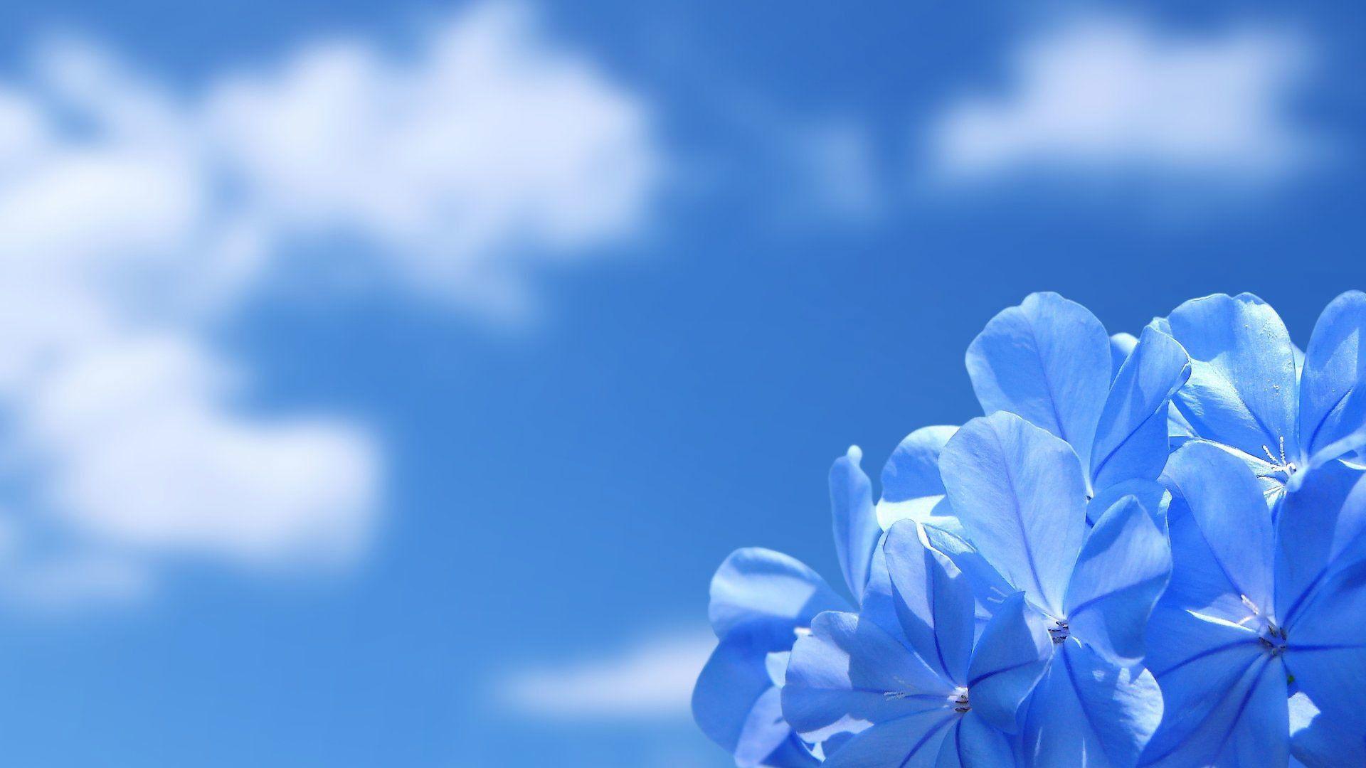 1920x1080 Blue Sky Wallpaper Background