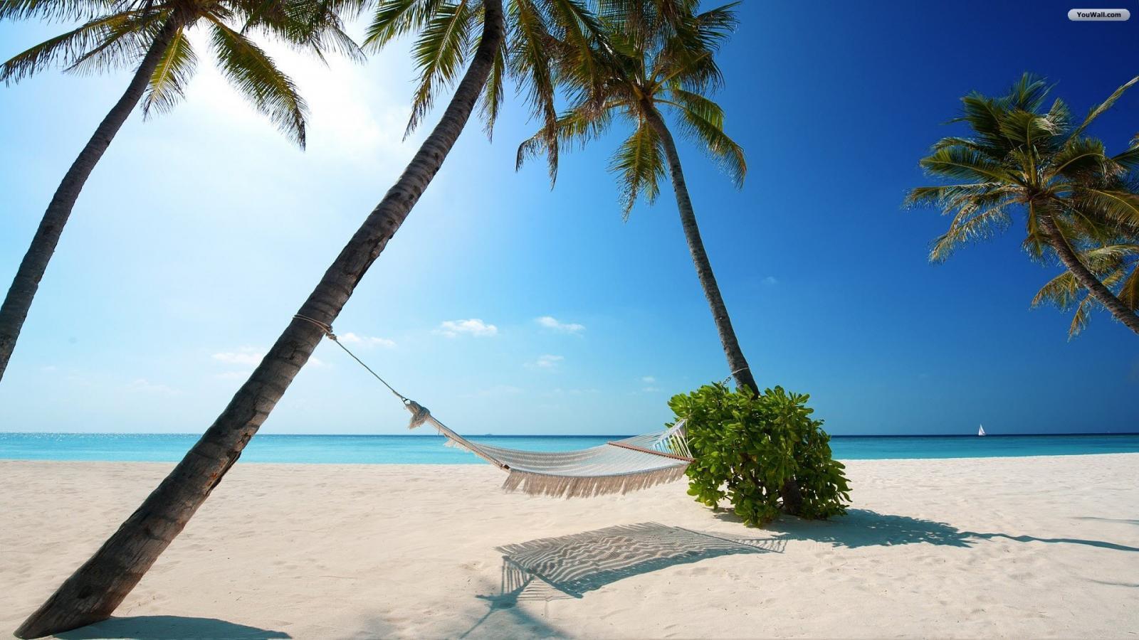 1600x900 HD Wallpaper Beach Paradise (1600x900 px, 0.17 Mb)
