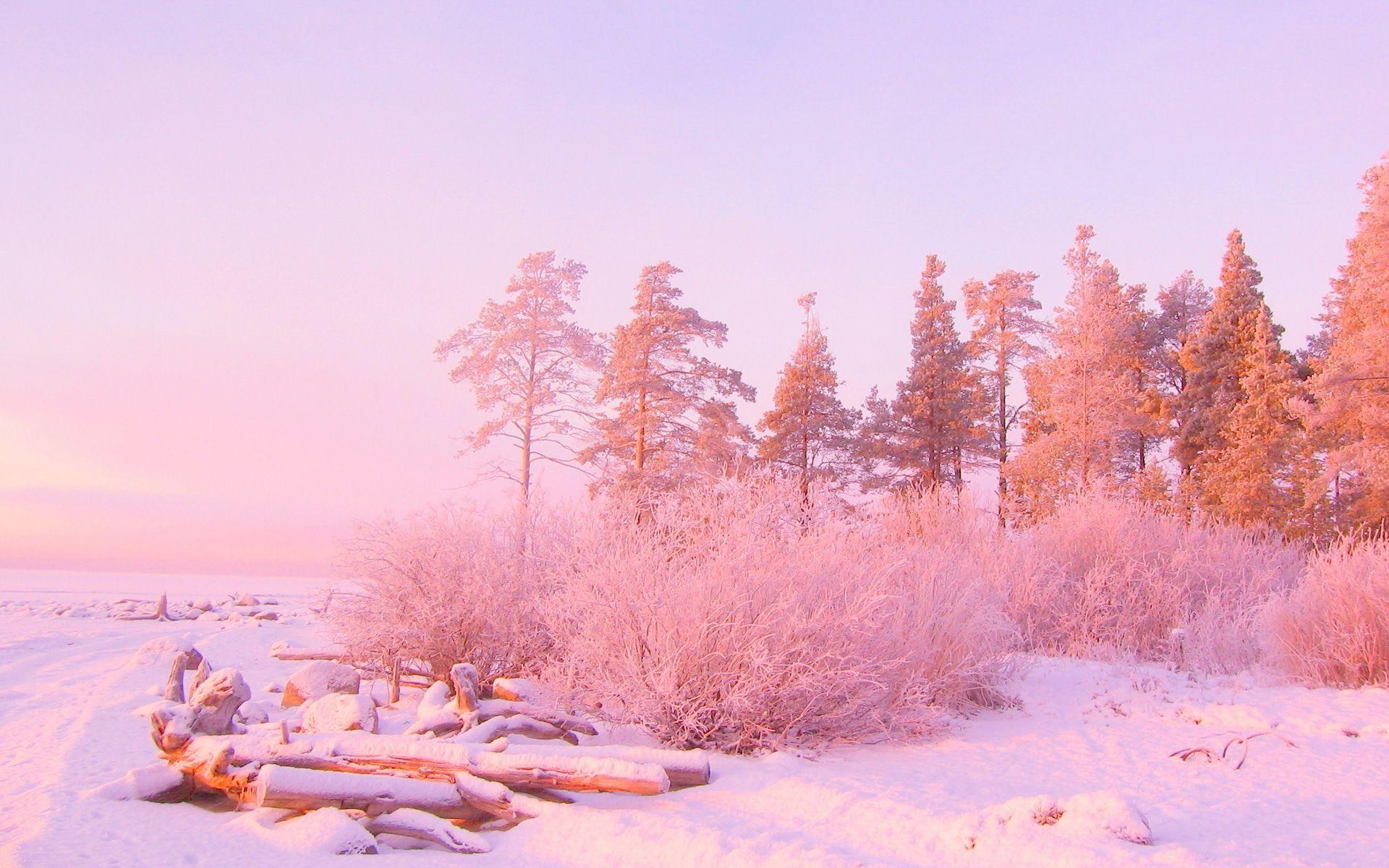 1920x1200 Desktop Wallpaper Pink HD