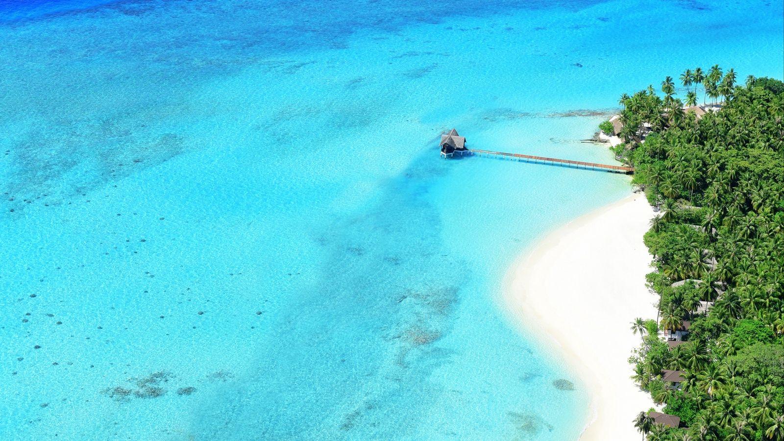 1600x900 Download wallpaper 1600x900 ocean, top view, palm trees, paradise