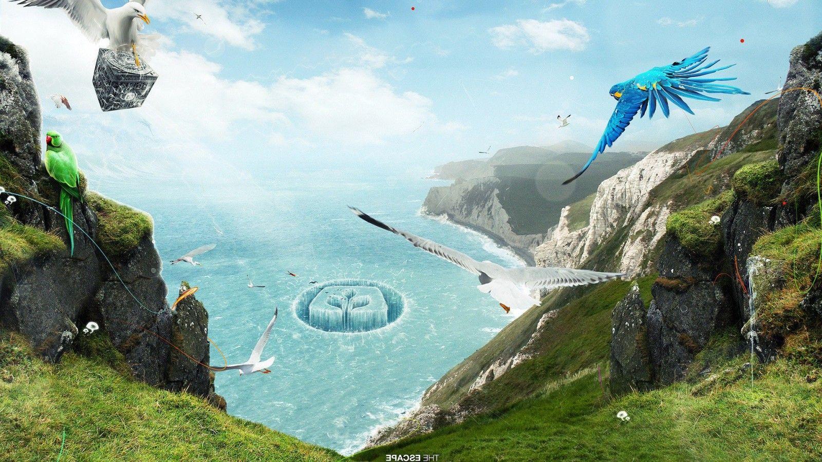 1600x900 Birds Paradise 1600x900 Resolution HD 4k Wallpaper