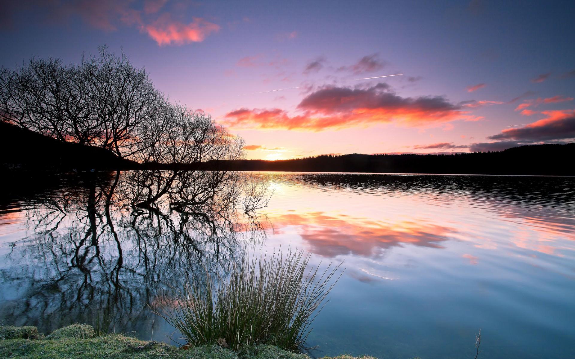 1920x1200 Forest Lake Reflection Wallpaper