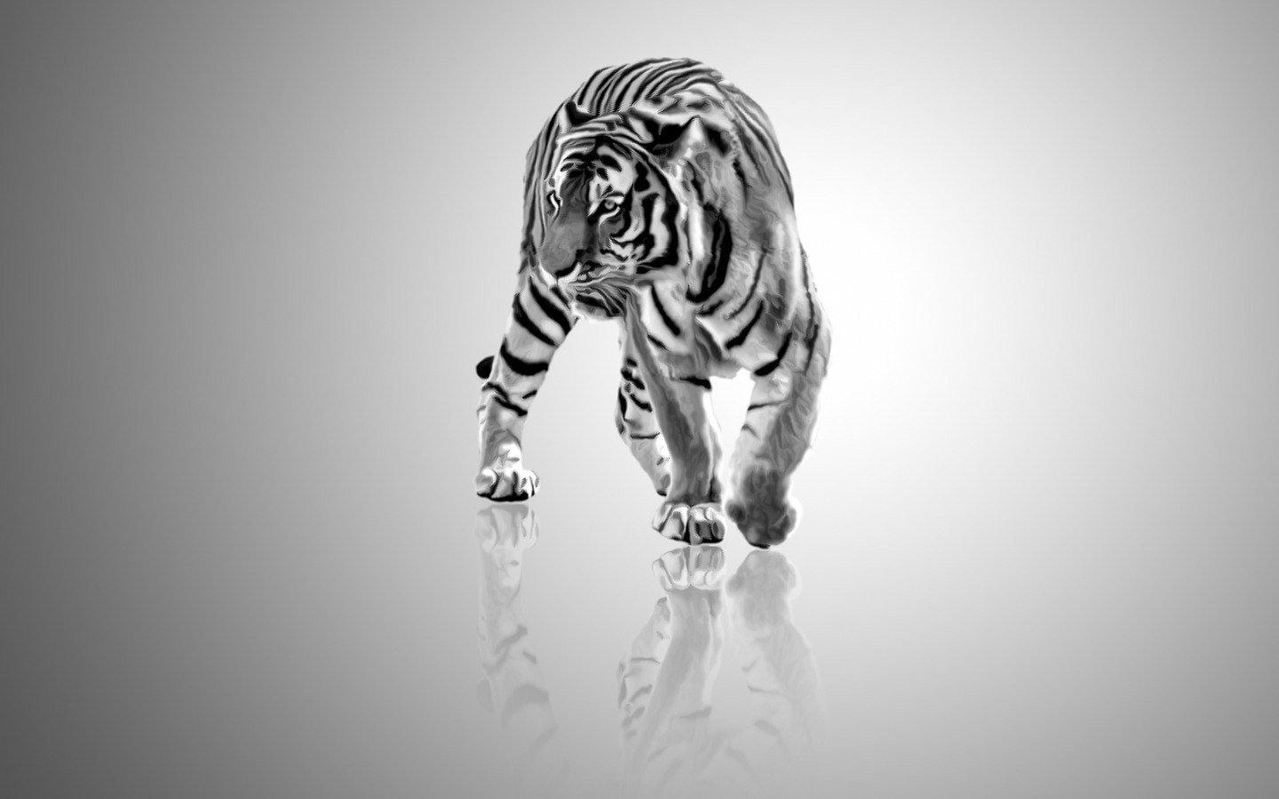 1440x900 White Tiger wallpaper 1440x900 desktop background