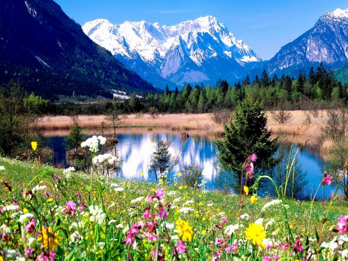 1152x864 Spring Scenery Wallpaper for Desktop