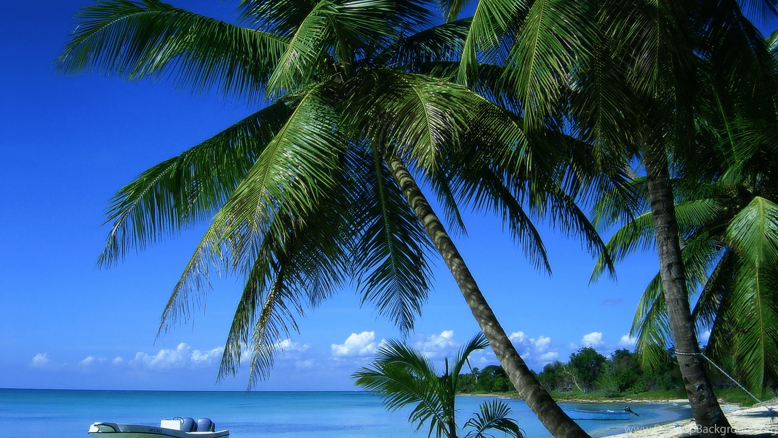1600x900 Beach paradise wallpaper summer hd.png Desktop Background