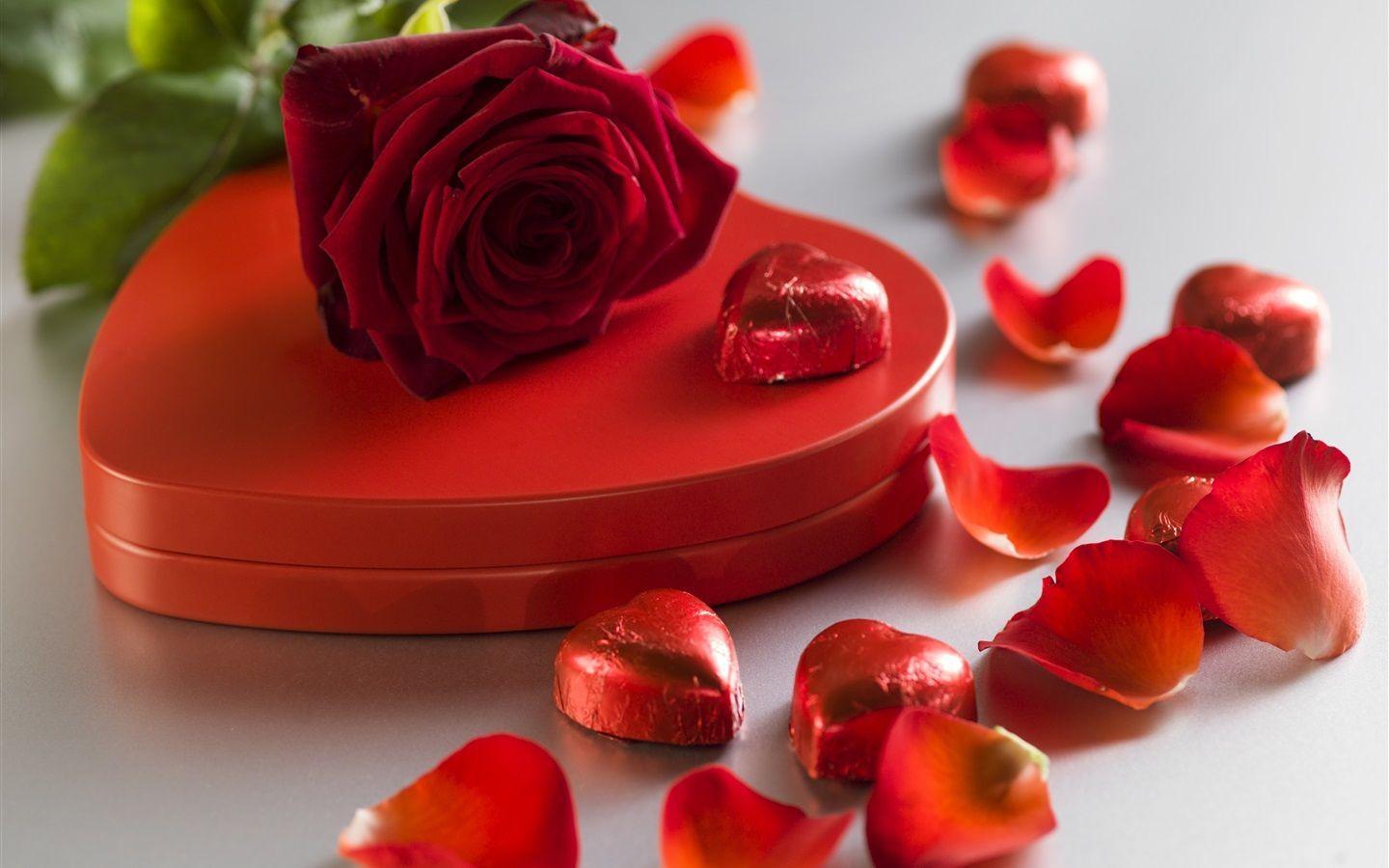1440x900 Top Love Rose HD Desktop Wallpaper #love #rose #hd #desktop