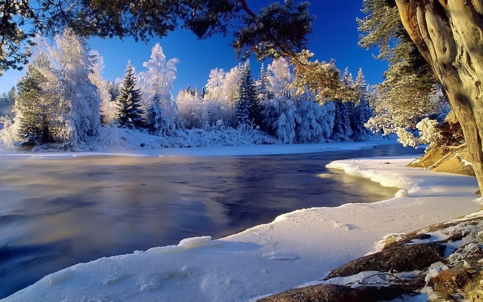 1920x1200 Free download Winter Landscape Desktop Background HD4Wallpapernet