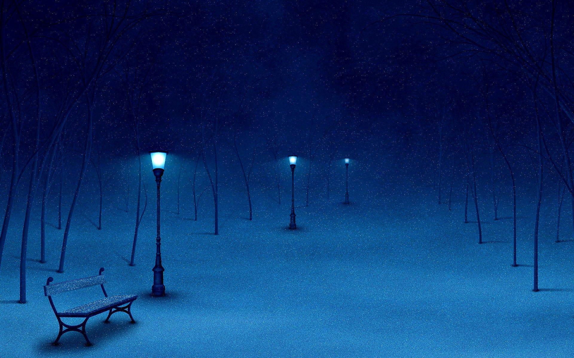 1920x1200 Night Winter Park Finland Wallpaper Wide Wallpaper