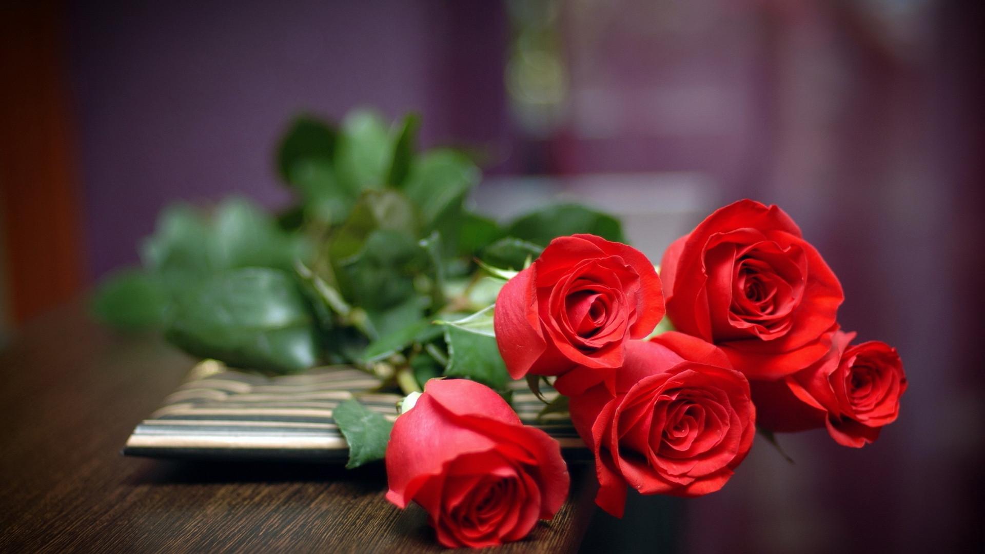 1920x1080 Red Roses of Love On Table HD Desktop Wallpaper Background download