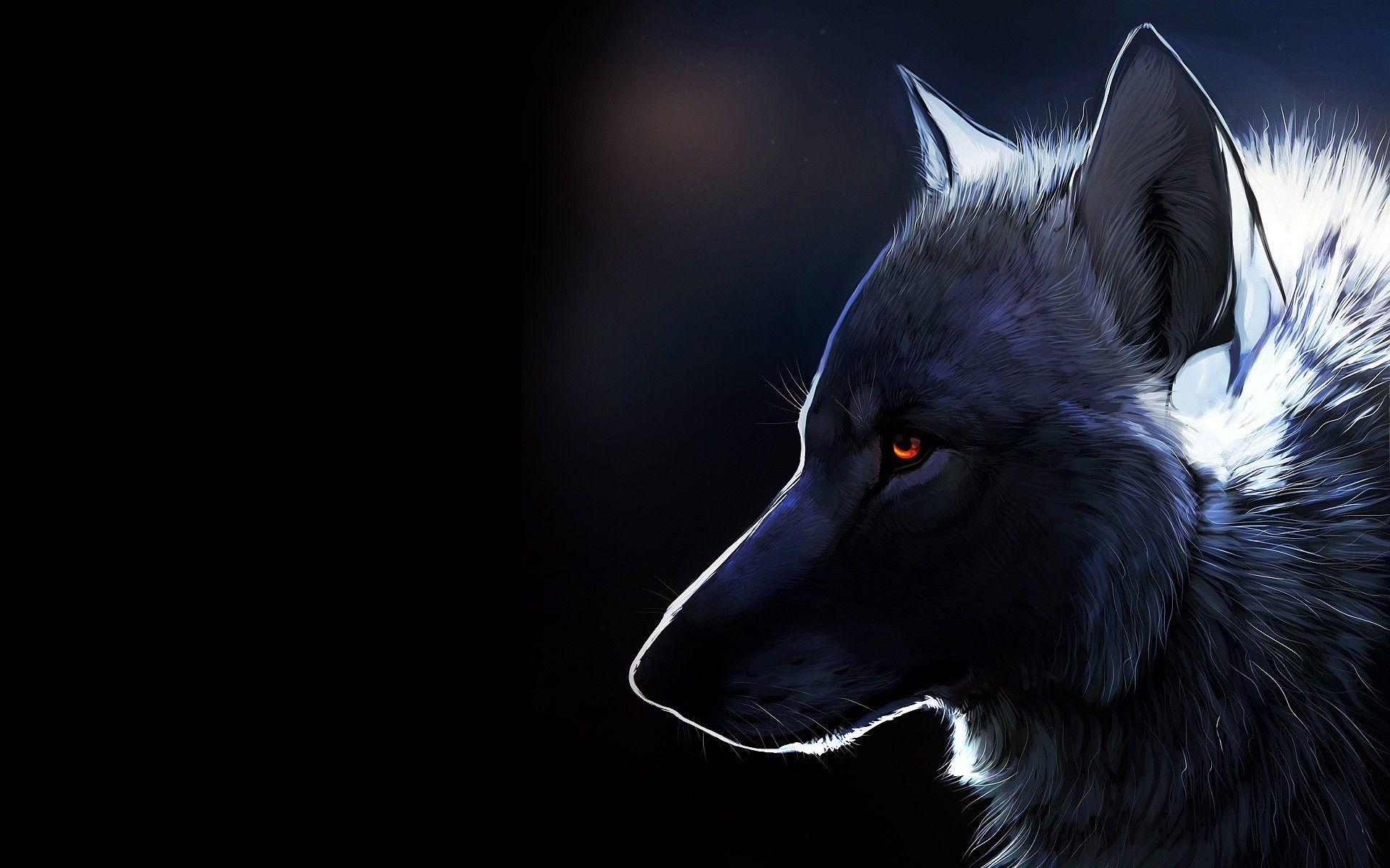 1920x1200 Wolf Desktop Background. Beautiful Wolf