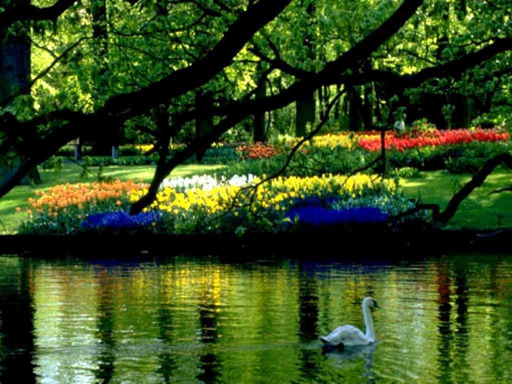 1024x768 Free Desktop Wallpaper Spring Scenes