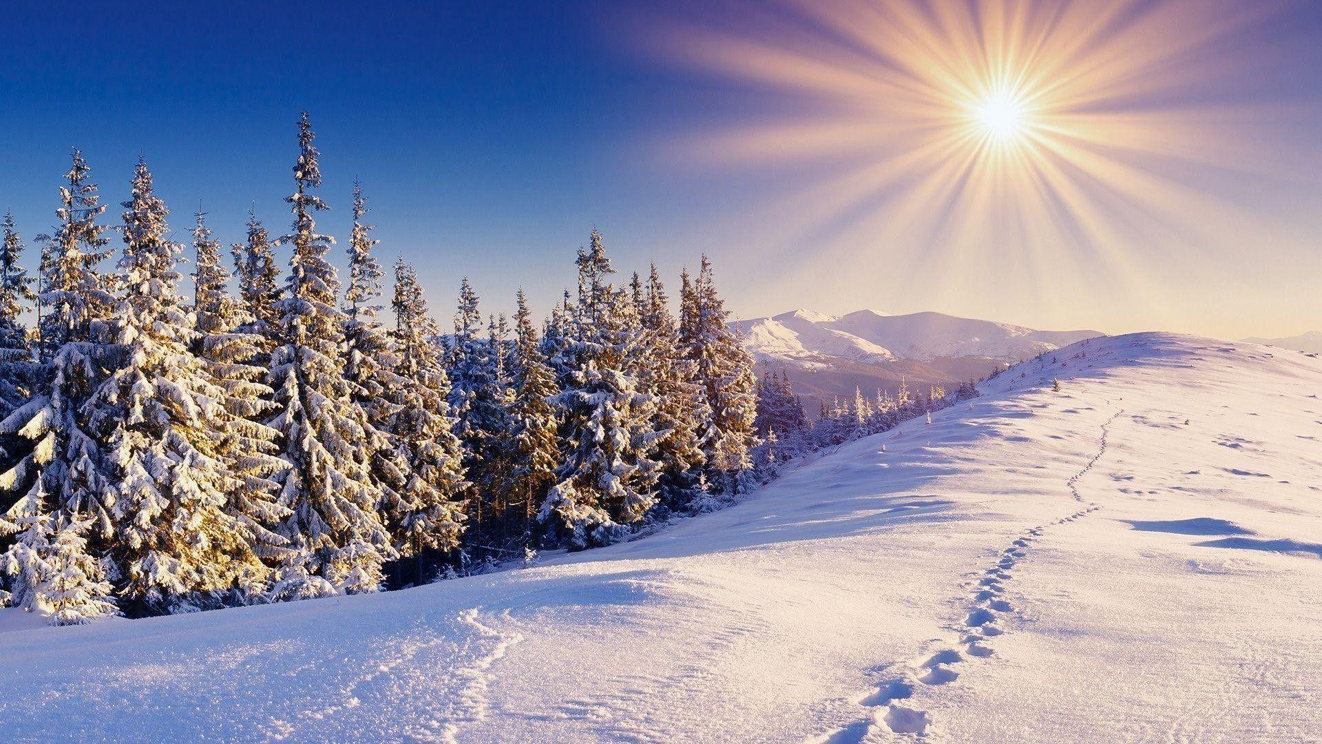 1920x1080 Winter HD Widescreen Wallpaper
