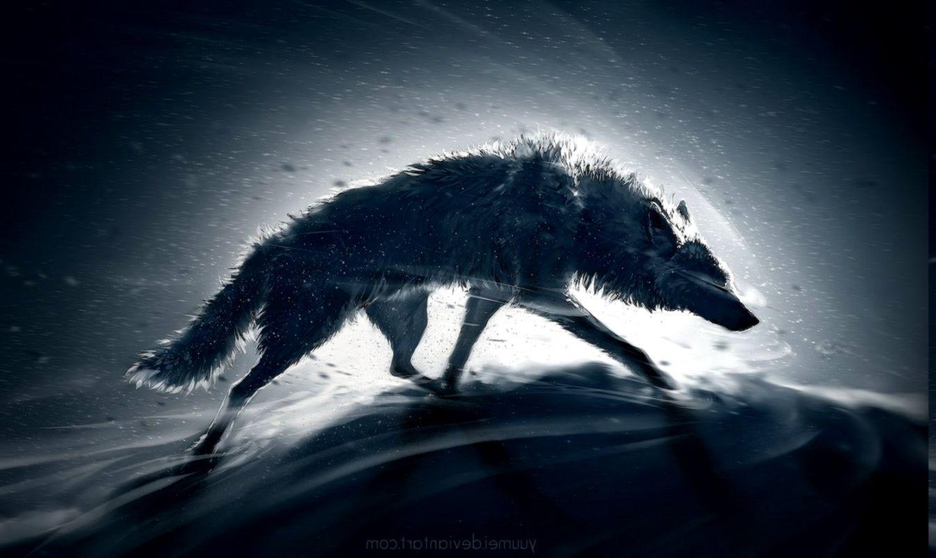 1350x805 Animals Wolf Wallpaper HD Desktop And Mobile Background