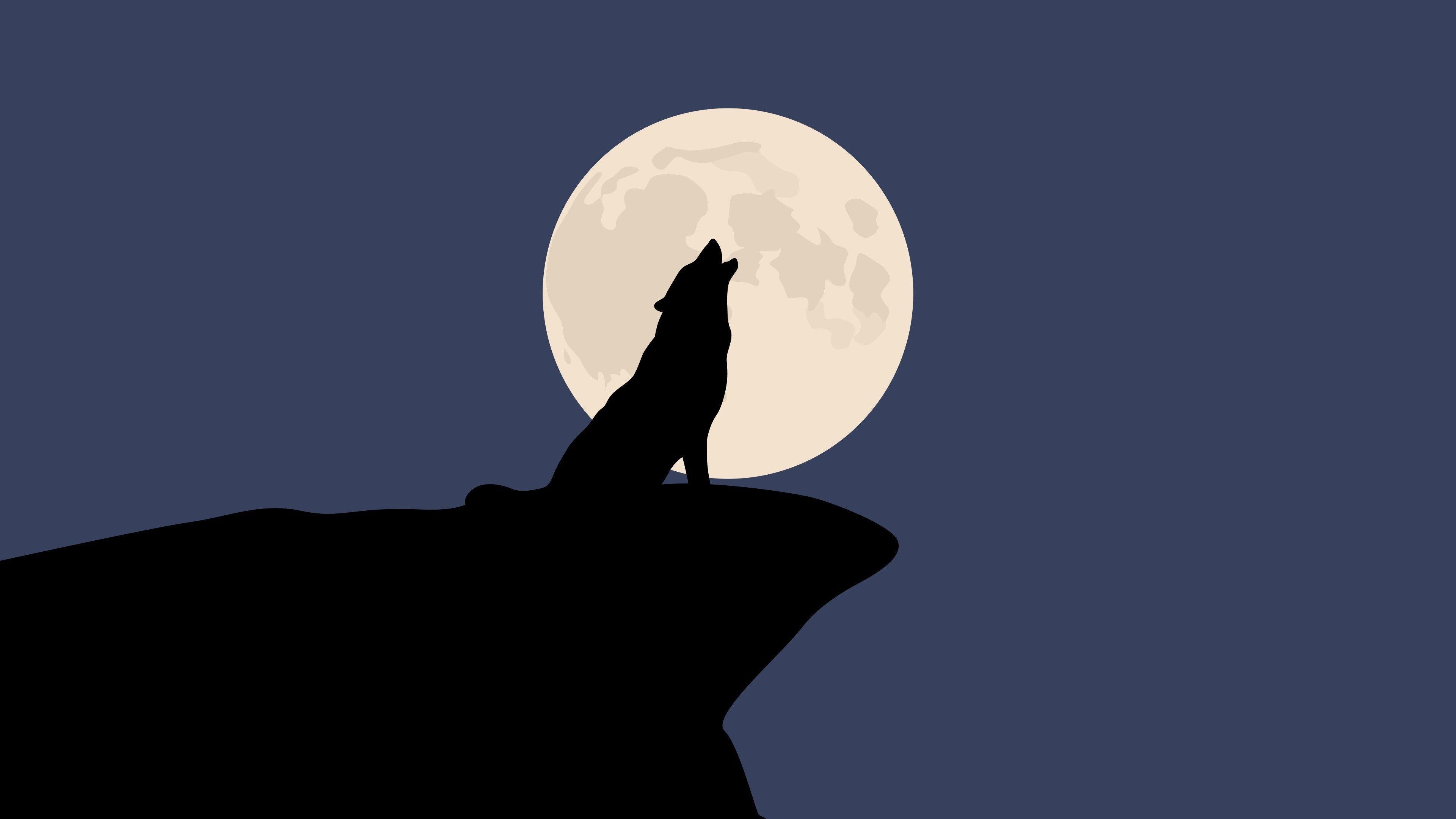 3840x2160 Wolf Wallpaper HD