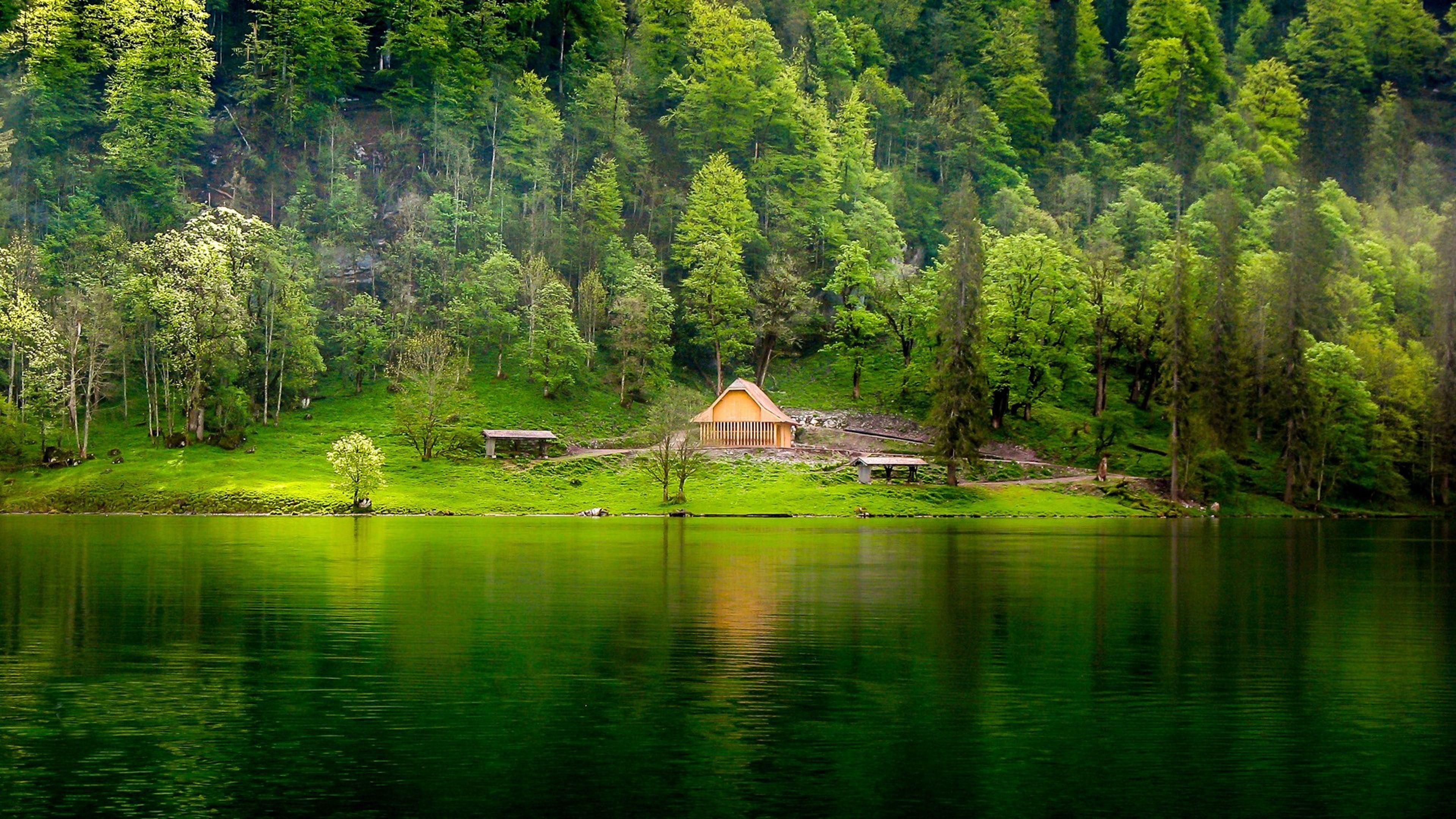 Луга река дом. Озеро Грин Лейк. Шварцвальд озеро. Озеро Грин Лейк Гавайи. Фахверк Швейцария горы озеро лес.