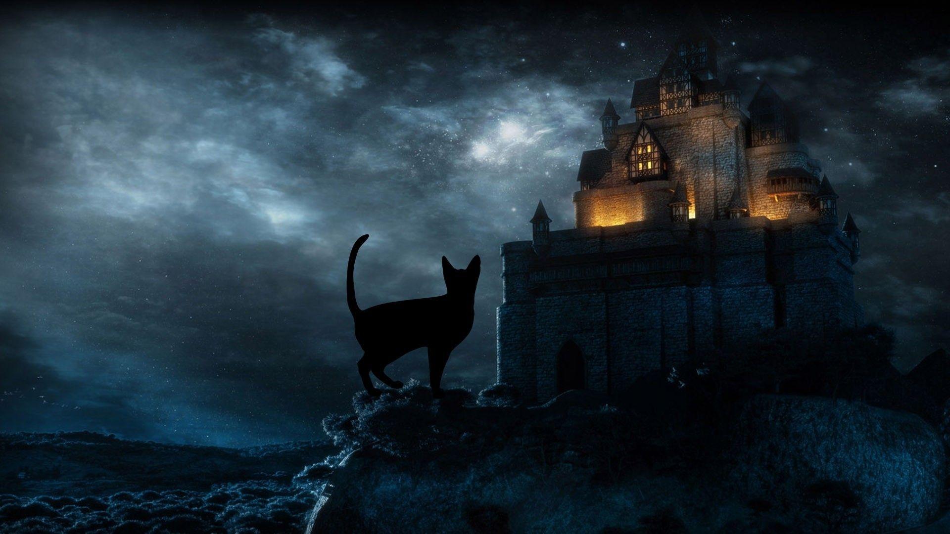 1920x1080 Halloween Black Cat HD Desktop Wallpaper 34269
