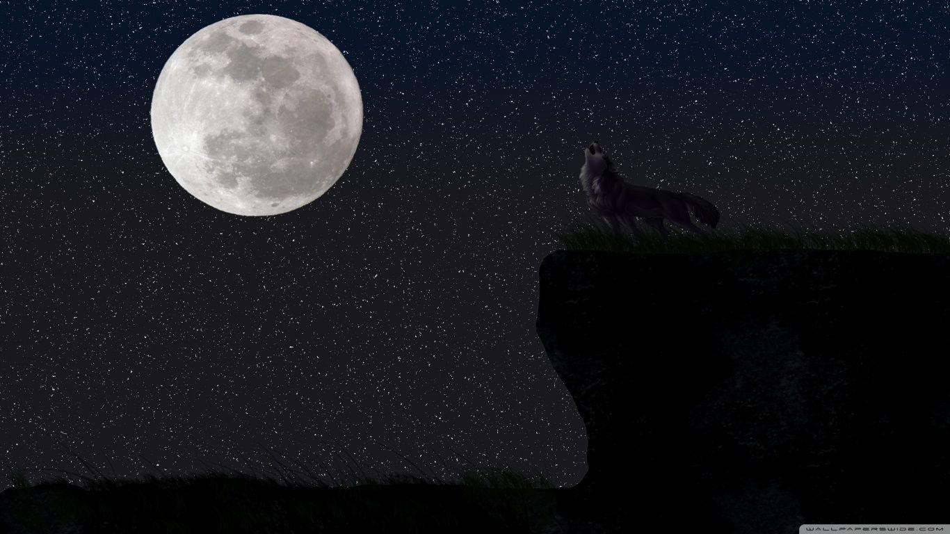 1366x768 Full Moon Wallpaper Wolf Wallpaper & Background