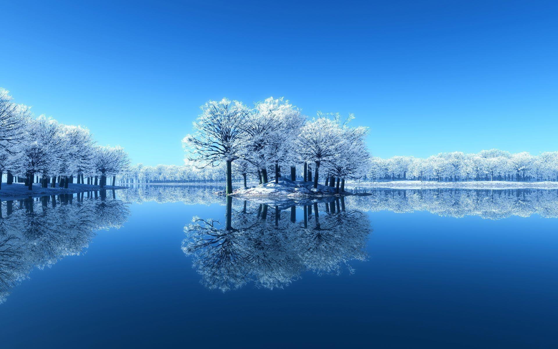 1920x1200 Frozen Trees Winter Nature. Winter wallpaper, Winter wallpaper