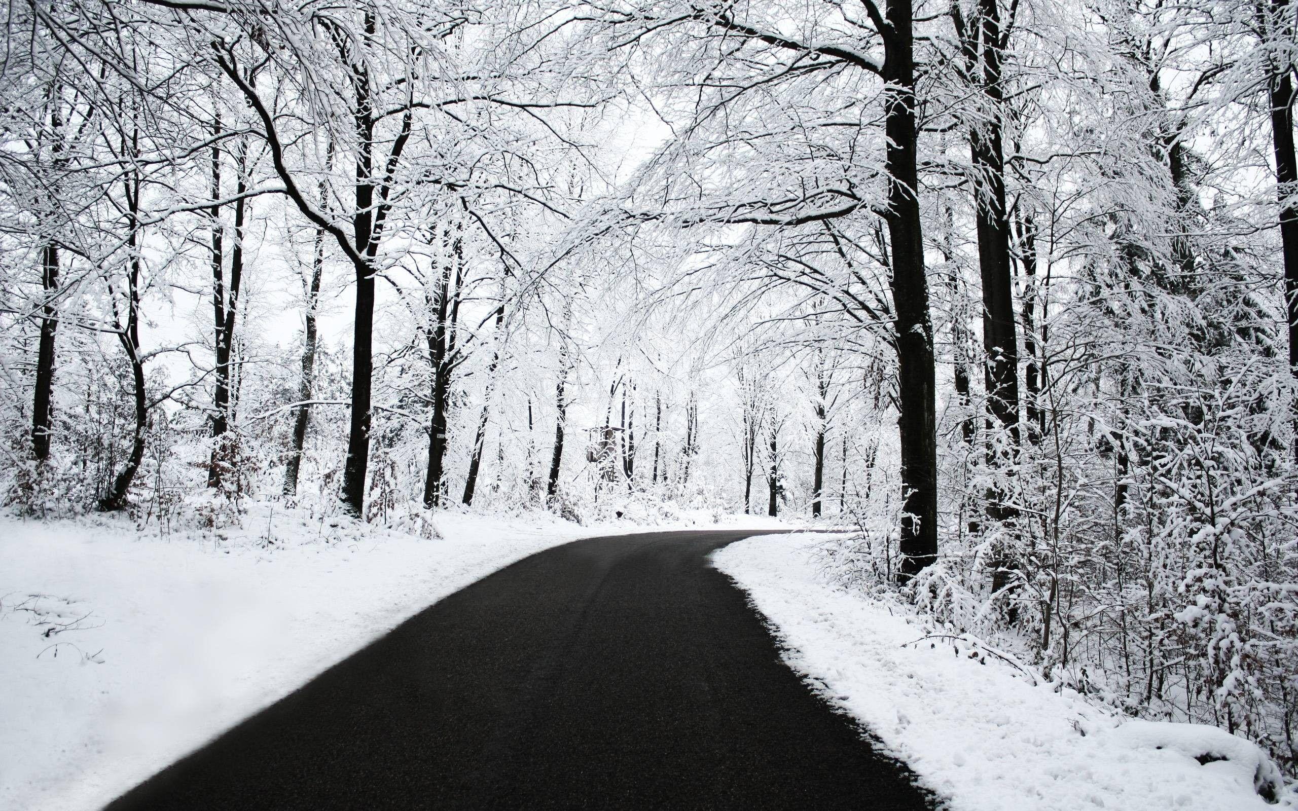 2560x1600 Winter Nature backgroundDownload free cool background