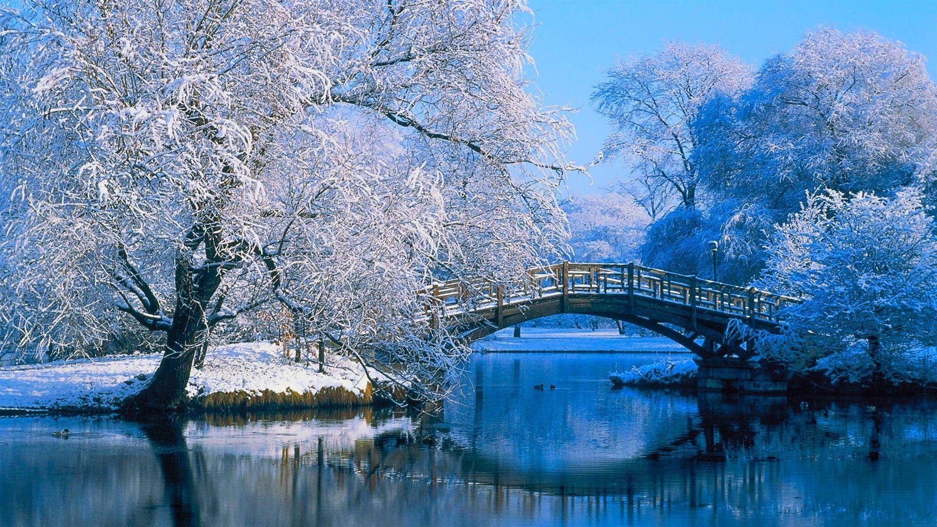 1920x1080 Nature winter HD Desktop Wallpaper. High Quality HD Background