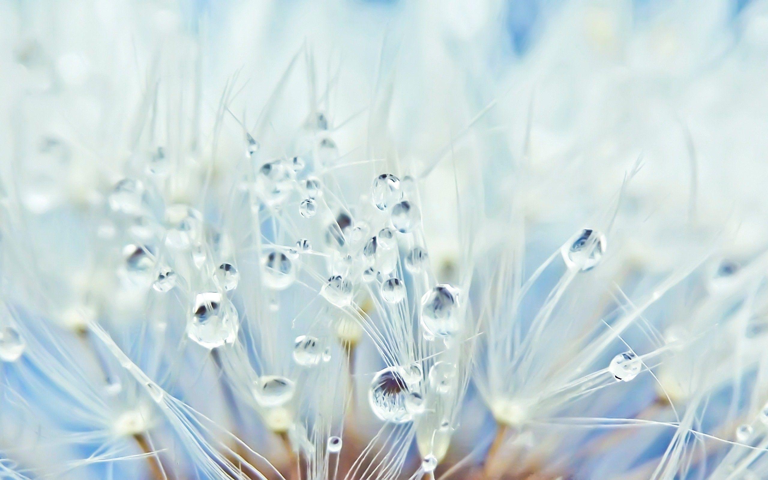 2560x1600 Free download 47 Beautiful Winter Wallpaper