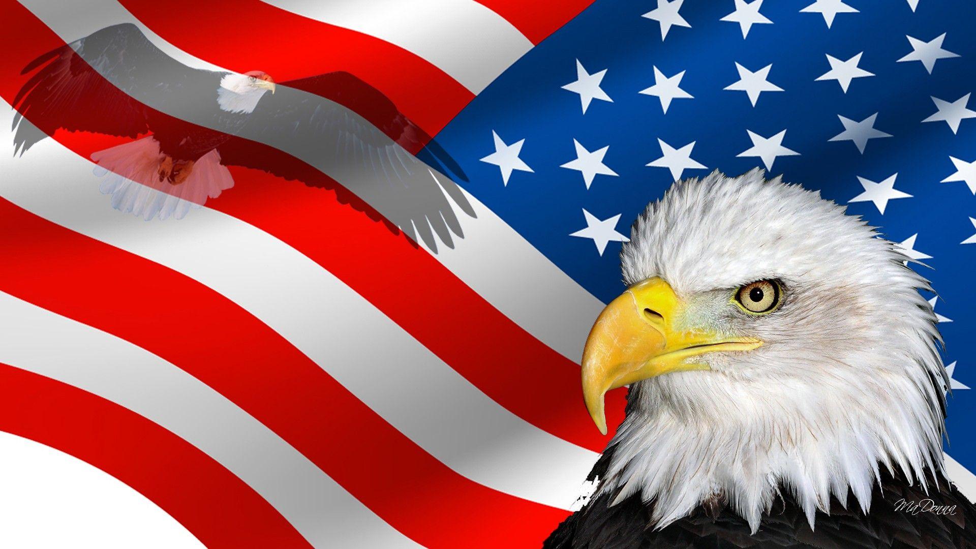 1920x1080 Free download HD USA Wallpaper The Beauty Of Diversity In USA