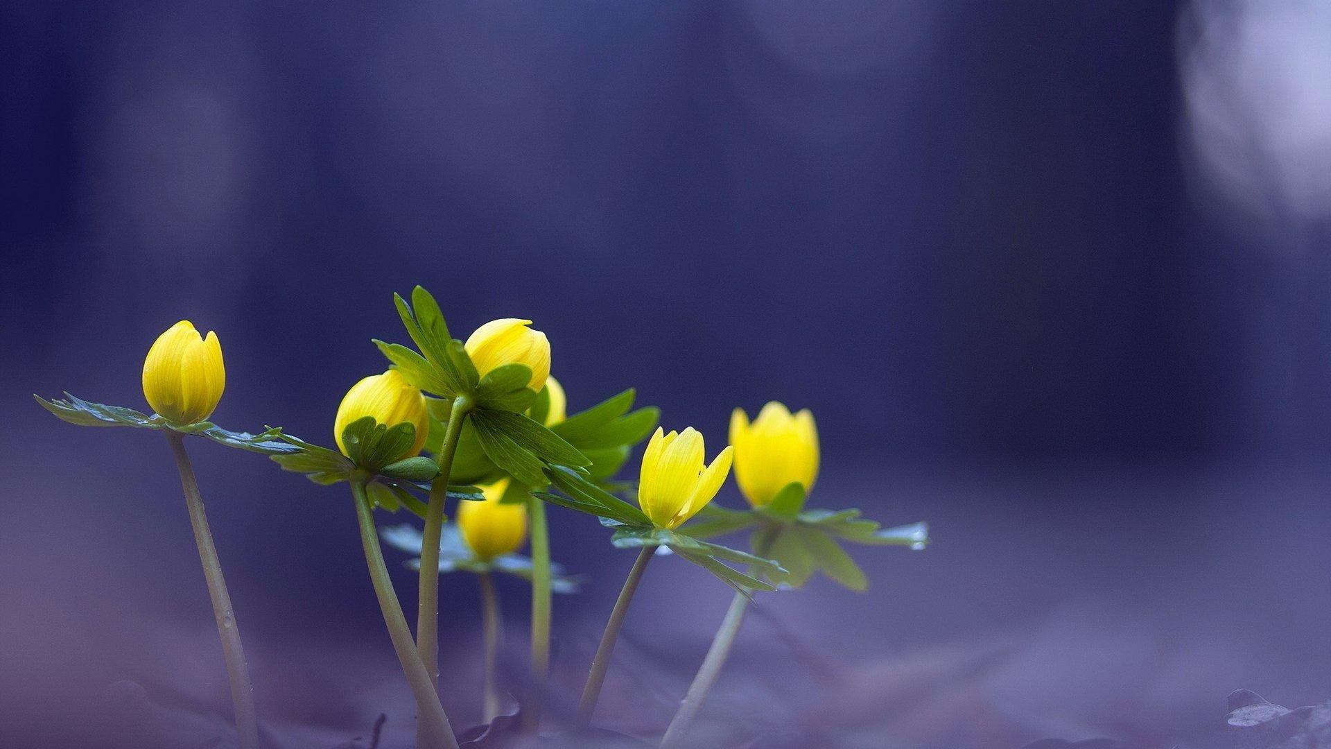 1920x1080 3D Winter Desktop Wallpaper