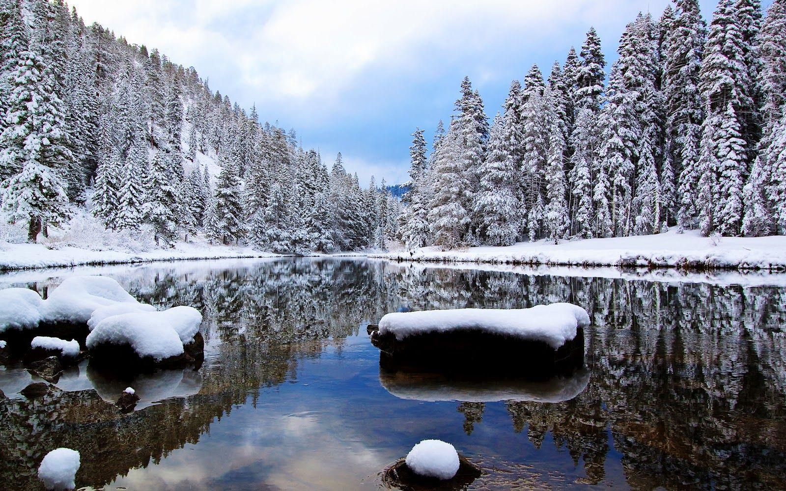 1600x1000 High Definition Winter Wallpaper For Desk 2014