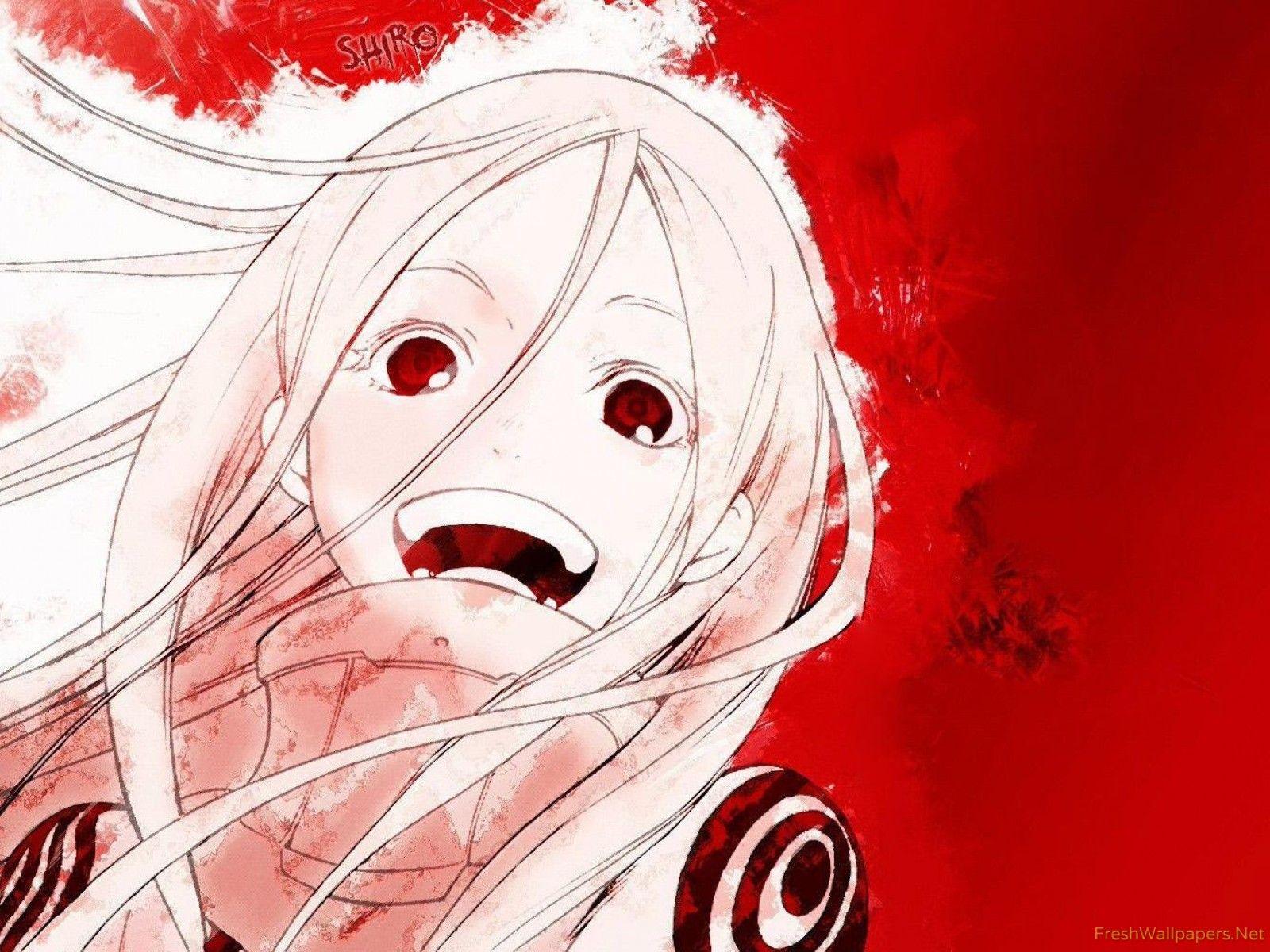 1600x1200 Shiro Wonderland wallpaper