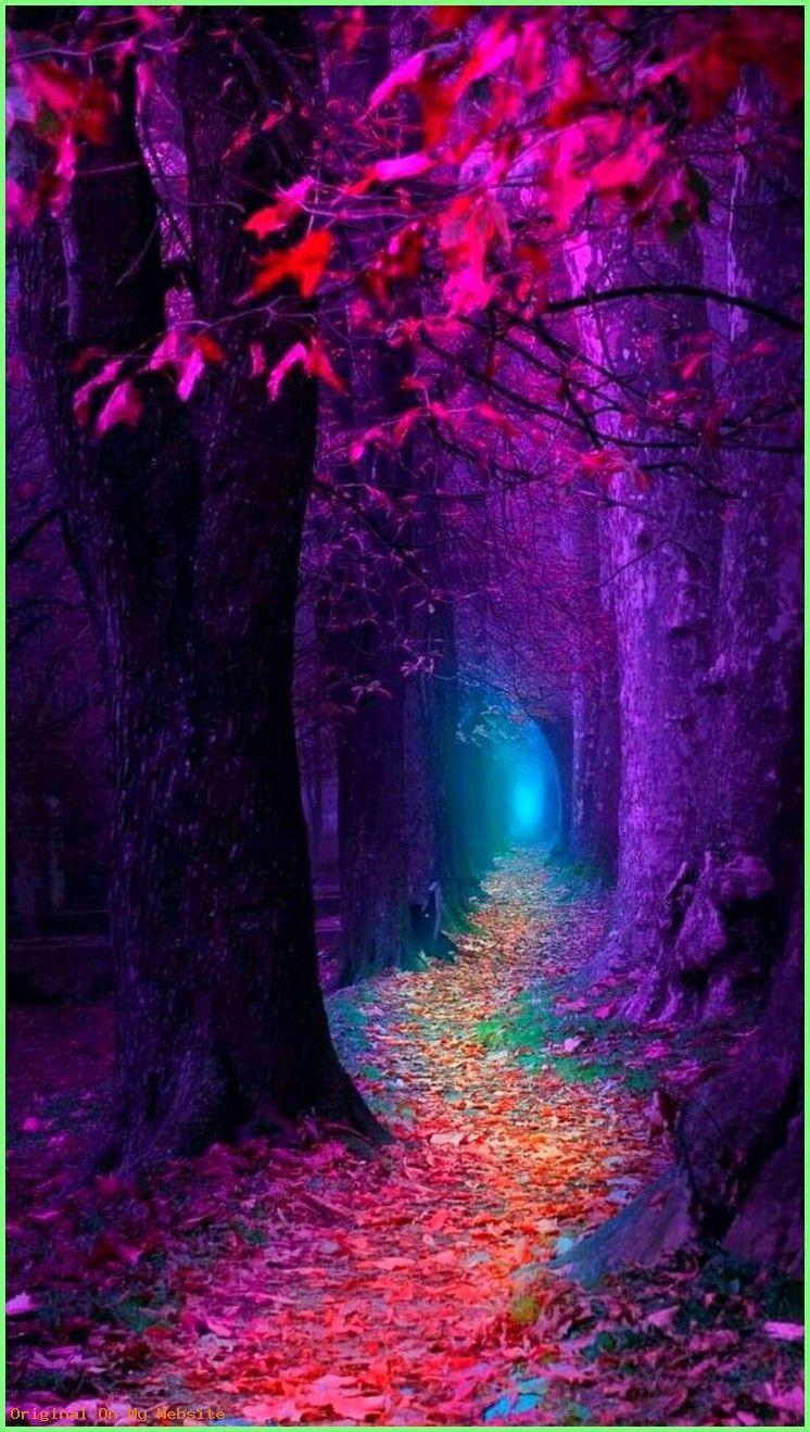 746x1318 iPhone Wallpaper Dark one side it feels magical but on