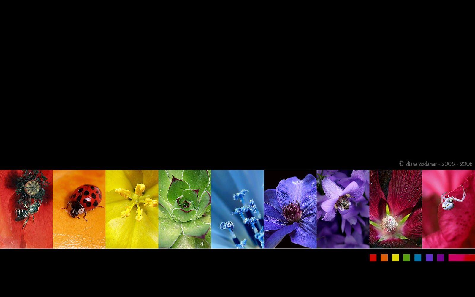 1600x1000 Black Rainbow HD Wallpaper. HD Wallpaper Pics