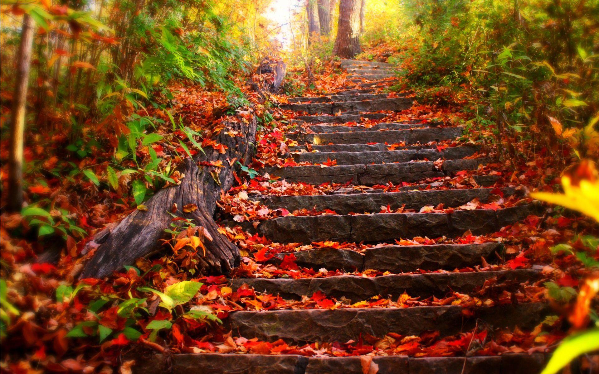 1920x1200 Fall Landscape Wallpaper
