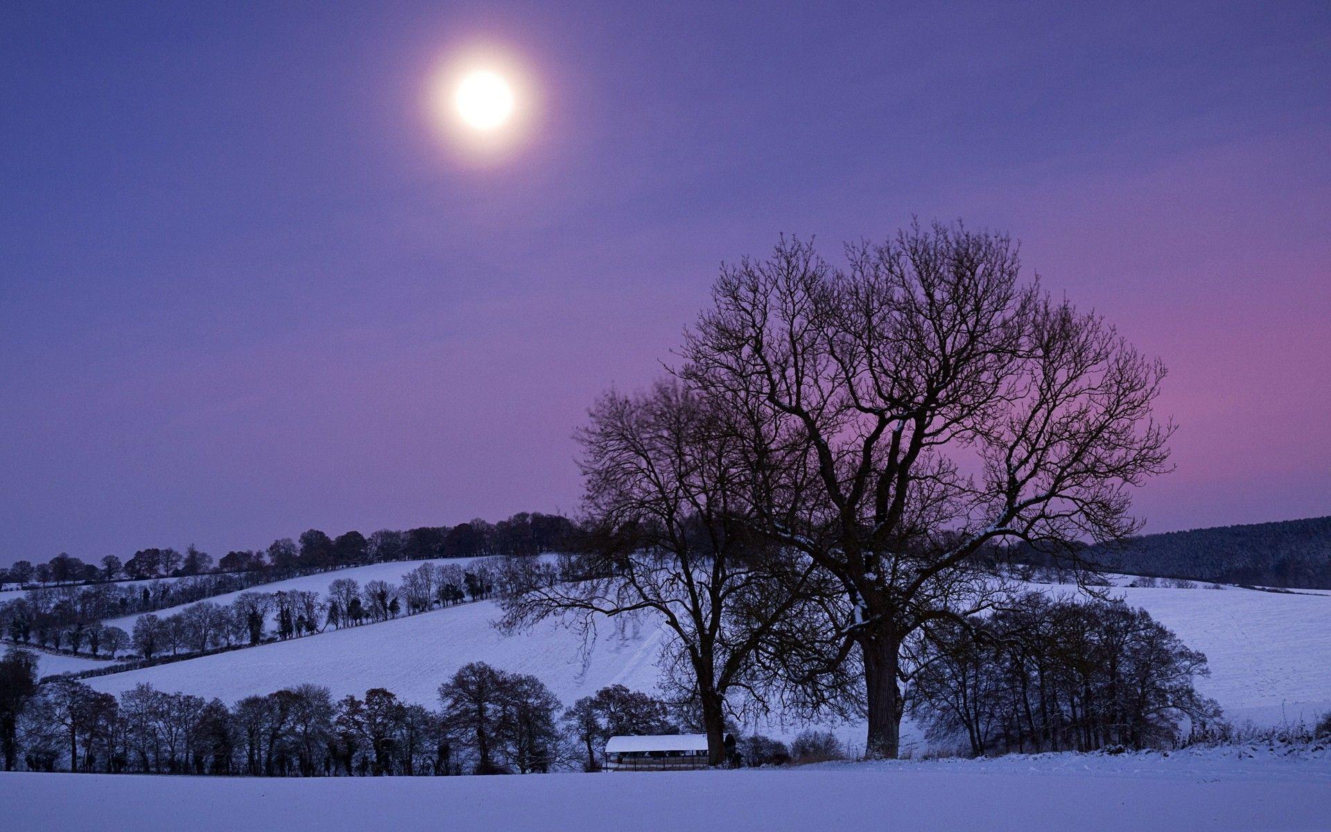 1920x1200 Winter, Seasons, Night, Windows Trees, Hills, Snow, Farm
