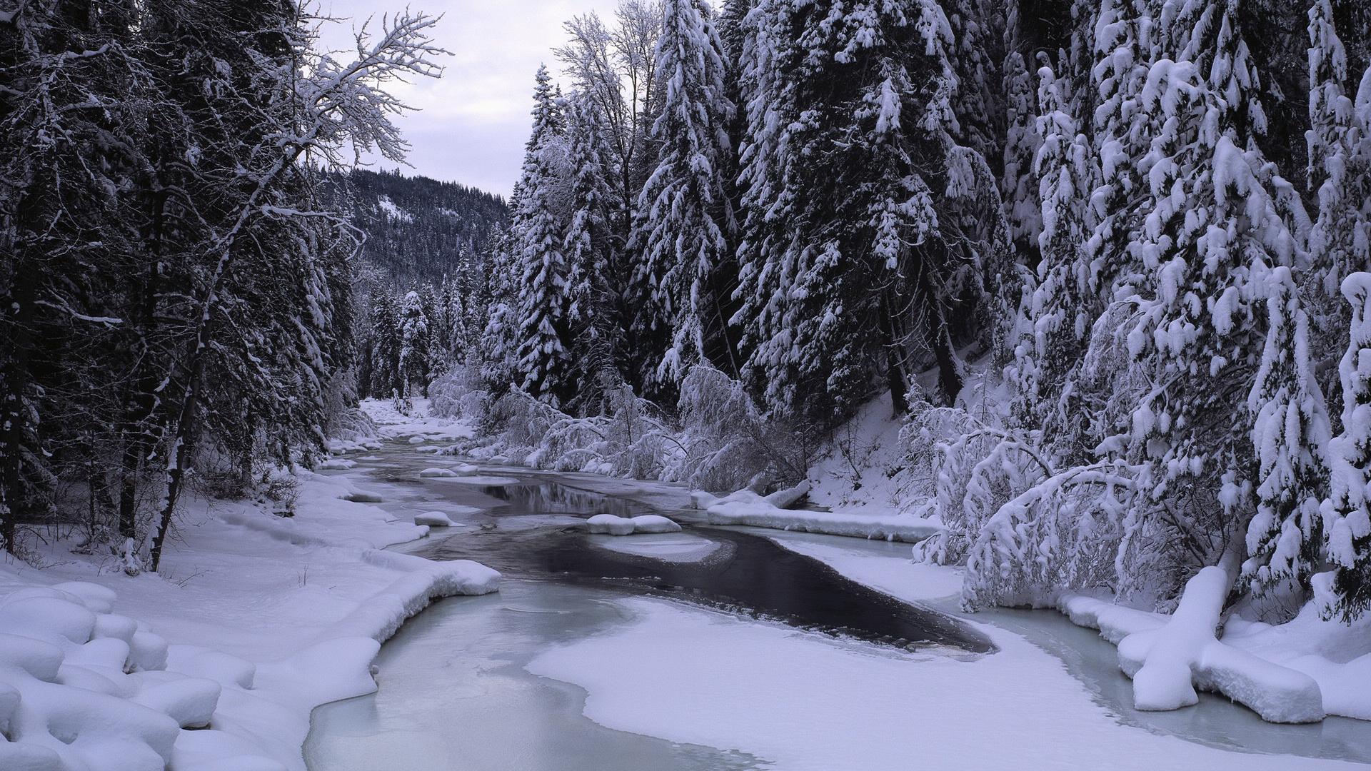 1920x1080 Free download 1920x1080 beautiful winter snow landscape
