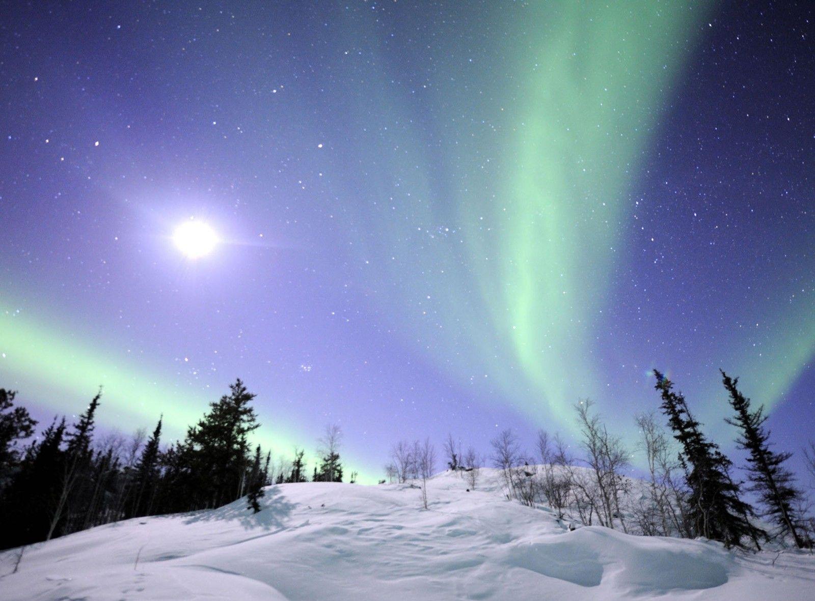 1600x1181 Natural Force: Alaskan Aurora White Sunsets Borealis Sun Amazing