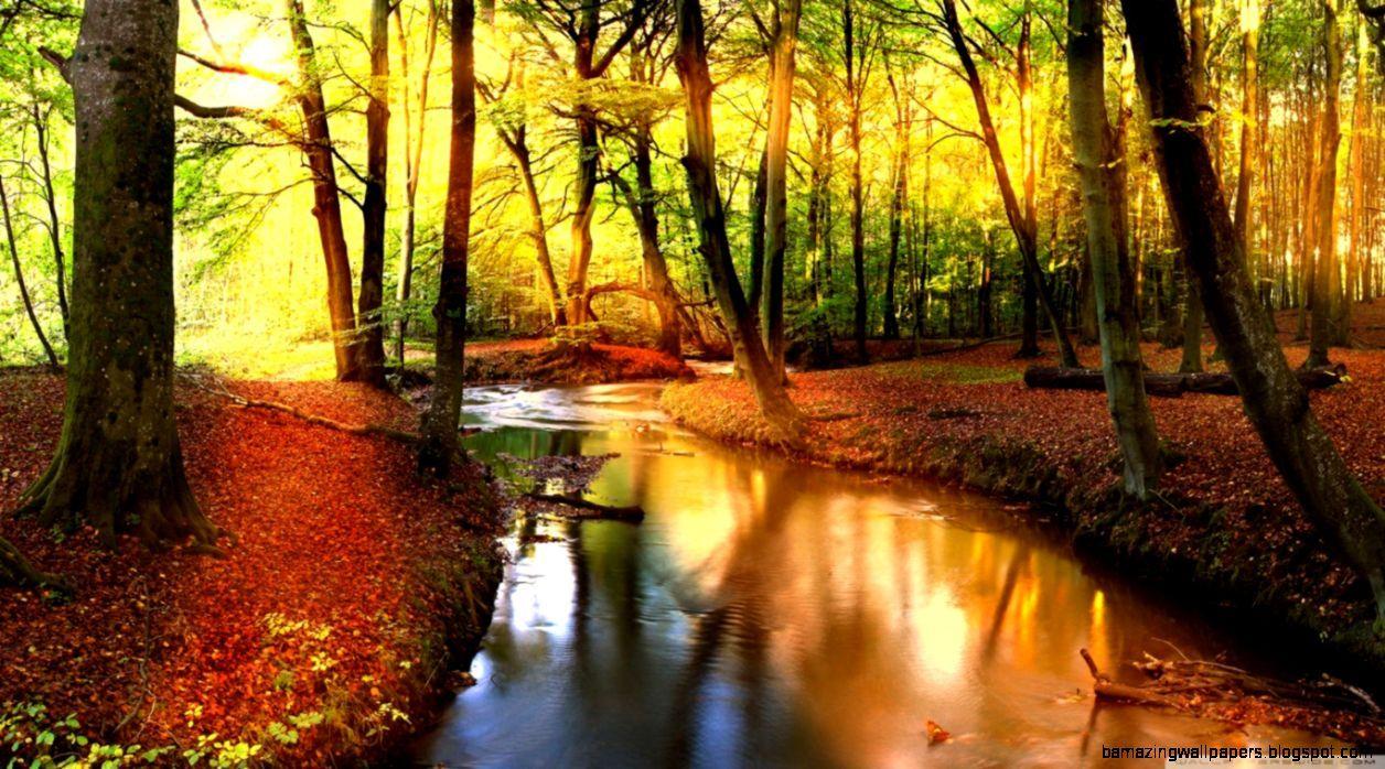 1256x698 Fall Landscape Wallpaper HD