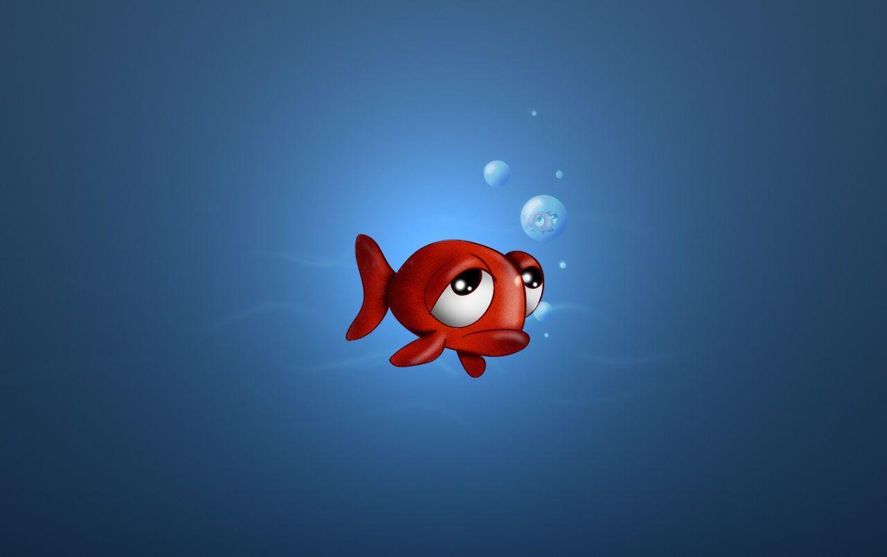 Fish Wallpapers  Top Free Fish Backgrounds  WallpaperAccess