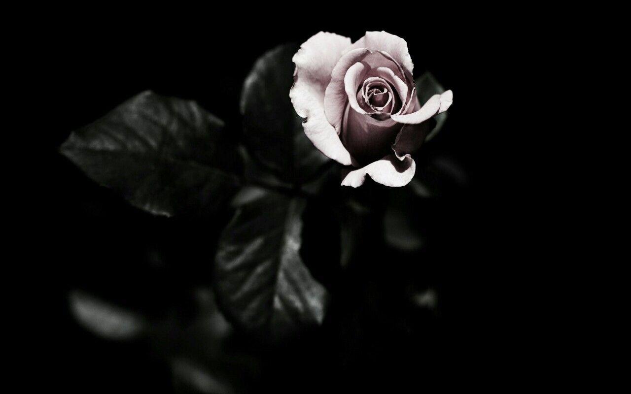 1280x800 Image result for black magic aesthetic. Magic aesthetic, Dark