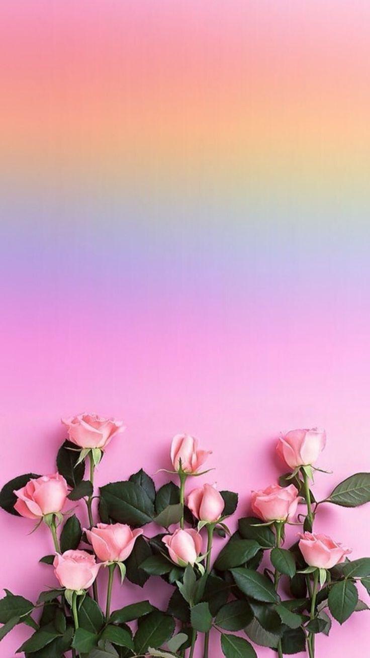 Colorful Flowers Iphone Wallpapers Top Free Colorful Flowers Iphone Backgrounds Wallpaperaccess