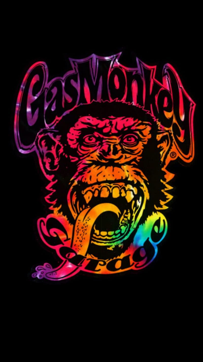800x1422 Gas monkey, rainbow, HD phone wallpaper
