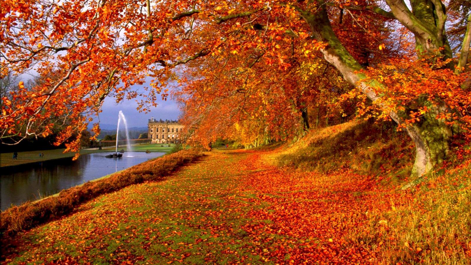 1600x900 Autumn HD Wallpaper