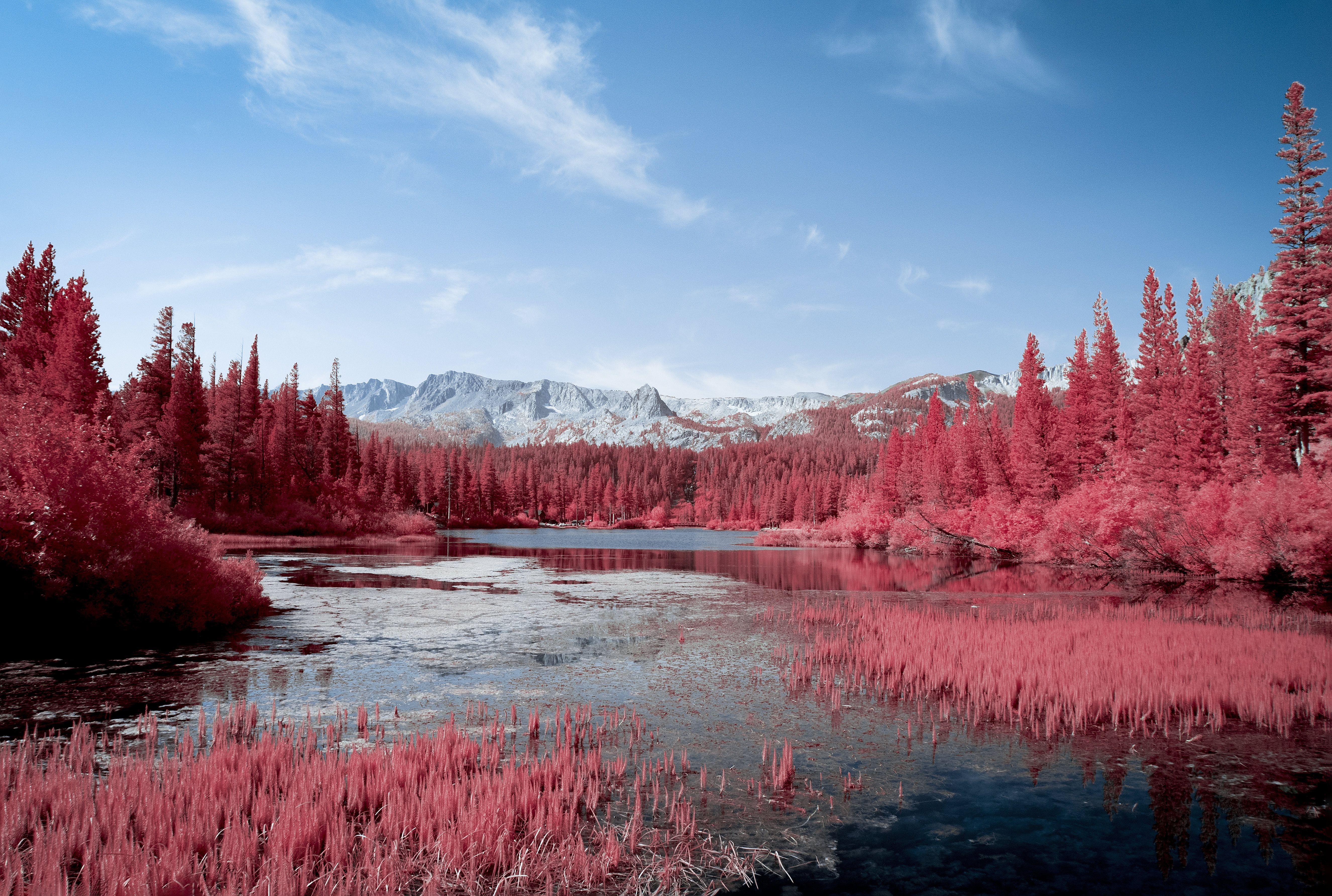5304x3568 #autumn, #tress, #pink, #lake, #hd, k, k, #nature