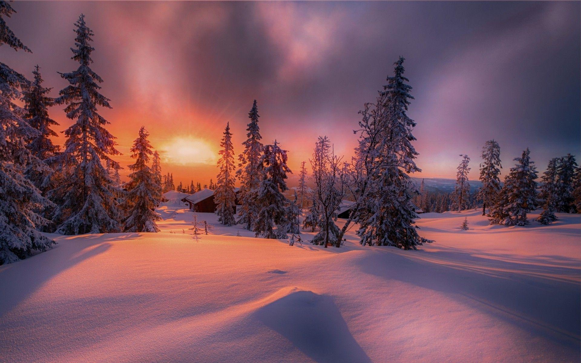 1920x1200 Nature, Landscape, Forest, Sunset, Cottage, Winter