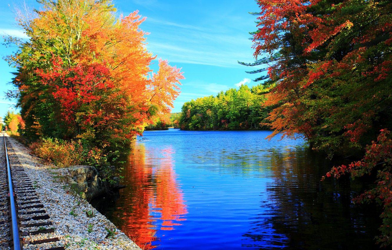 1332x850 Wallpaper trees, lake, rails, colors, Autumn, trees, nature