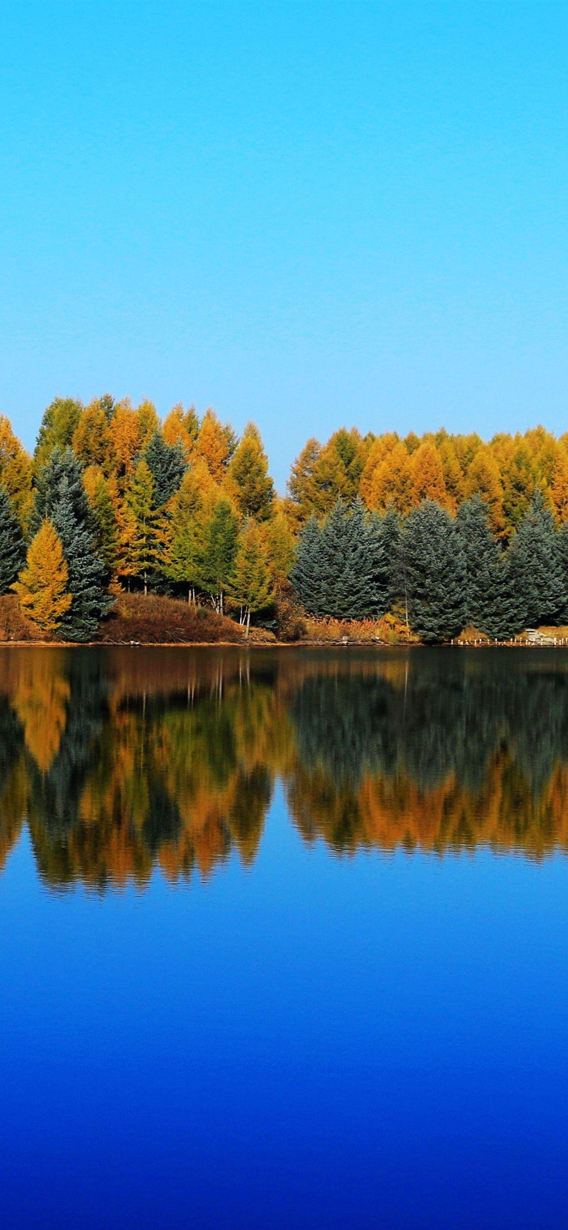 1125x2436 Wallpaper Saihanba, Shenlongtan, trees, lake, water reflection