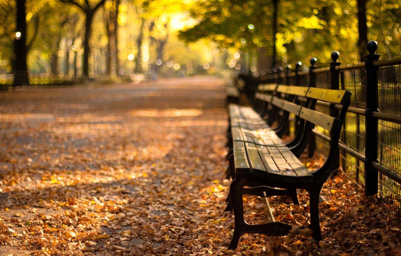 1332x850 Wallpaper sunset, Park, new York, sunset, new york, autumn