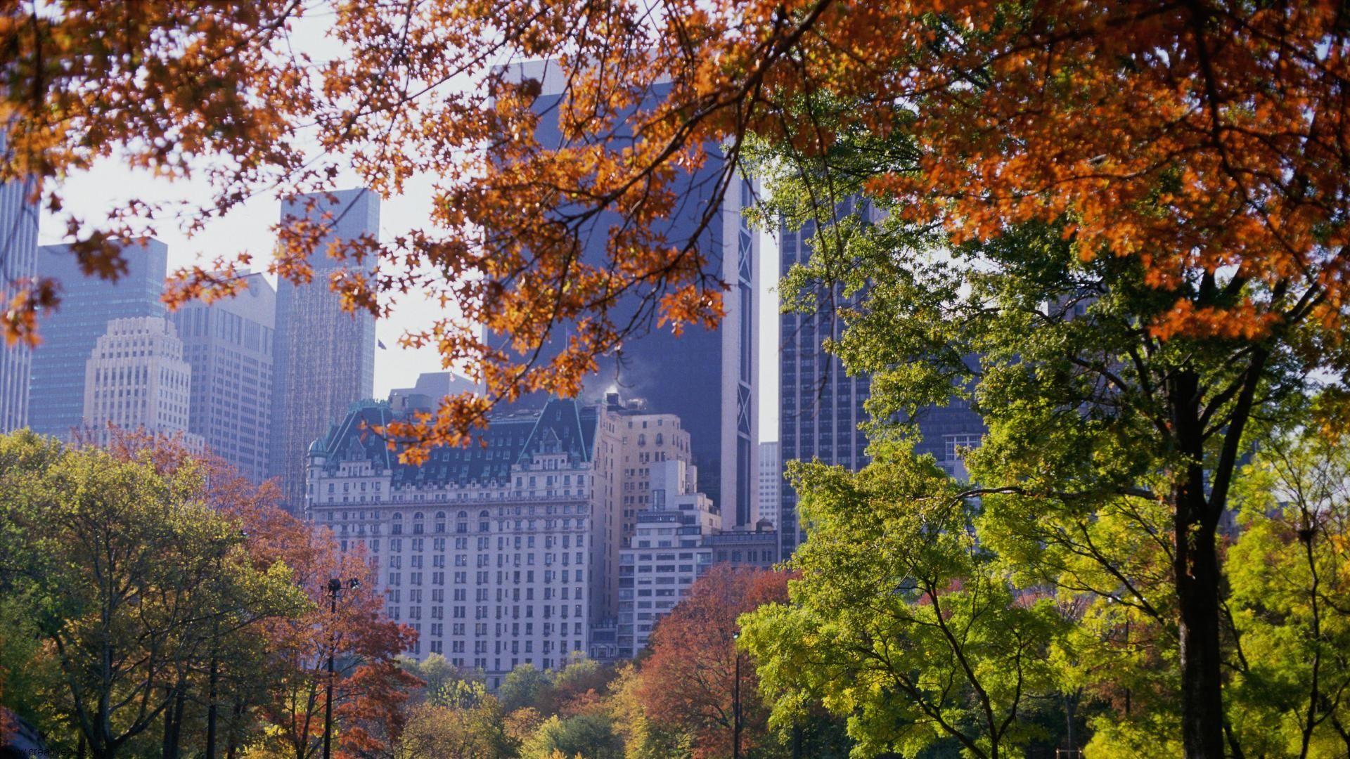 1920x1080 Free download wallpaper autumn park scenery central 1920x1080