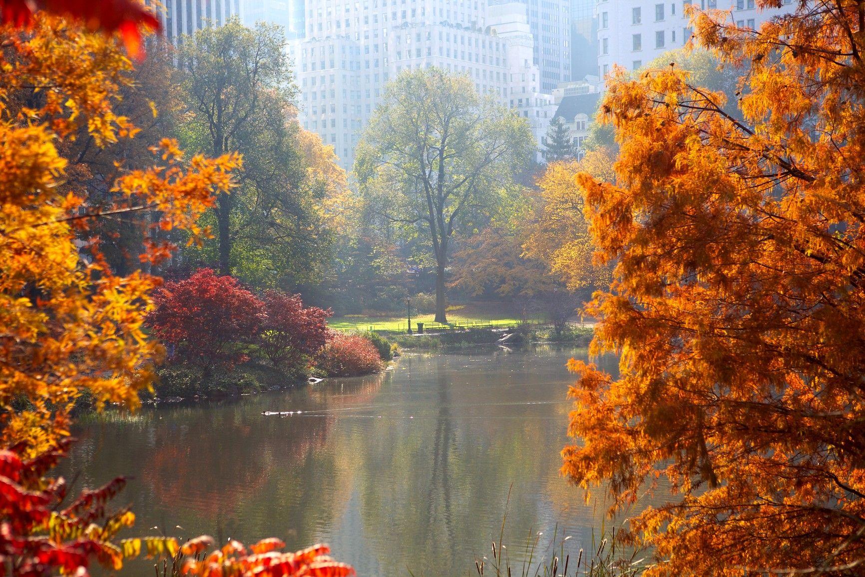 Central Park Fall Wallpapers Top Free Central Park Fall Backgrounds 