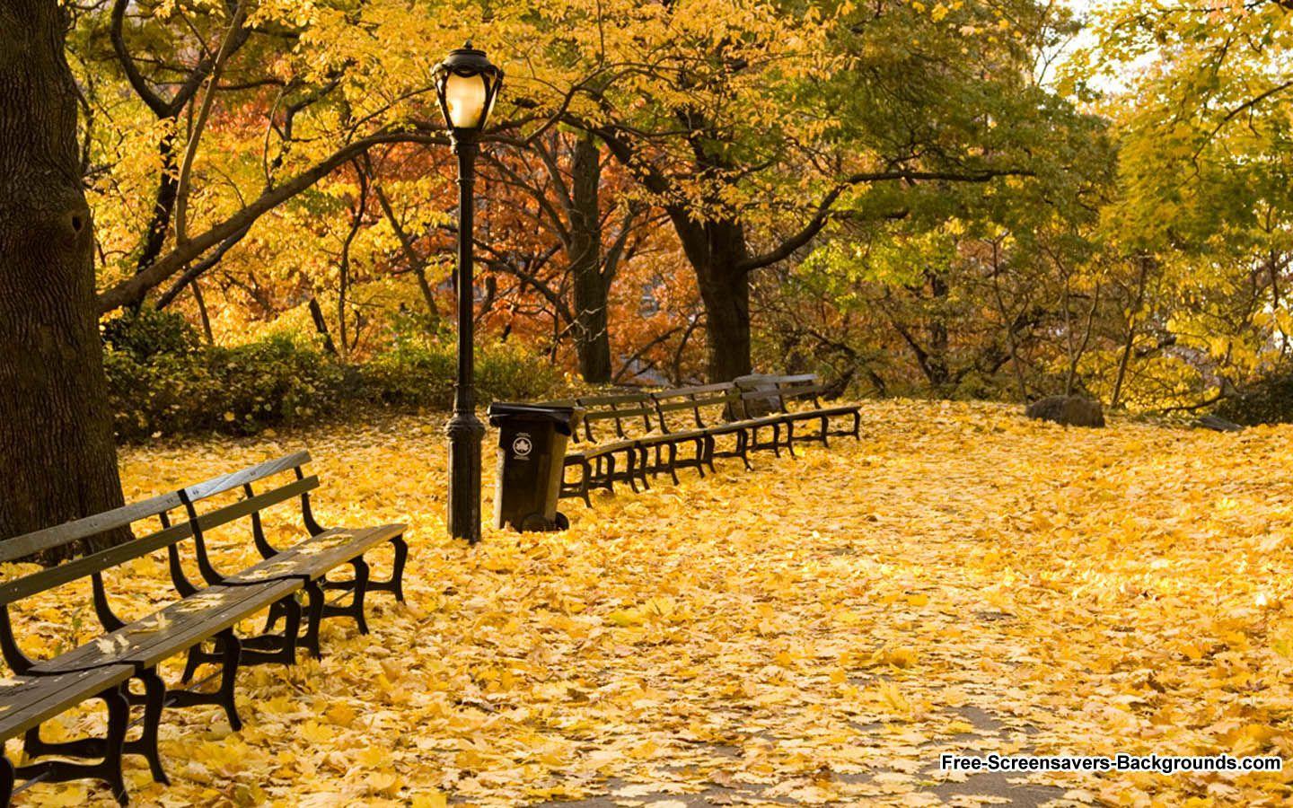 1440x900 Autumn Central Park New York Wallpaper FREE Picture