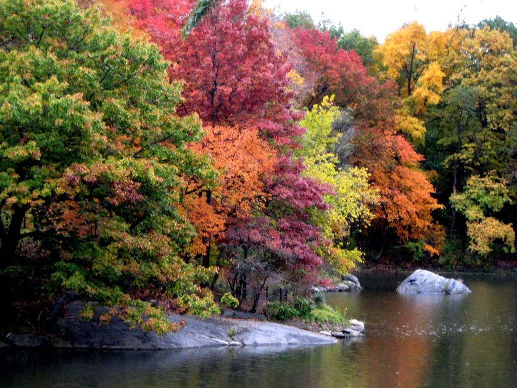 1024x768 Free download Central Park Background Twitter Background